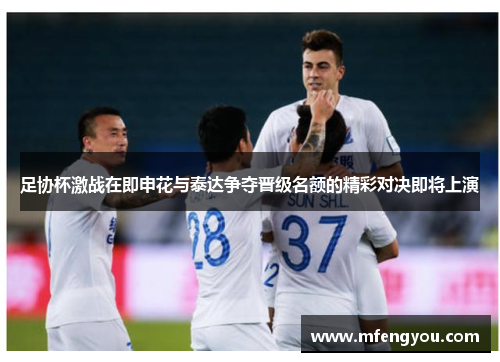 足协杯激战在即申花与泰达争夺晋级名额的精彩对决即将上演