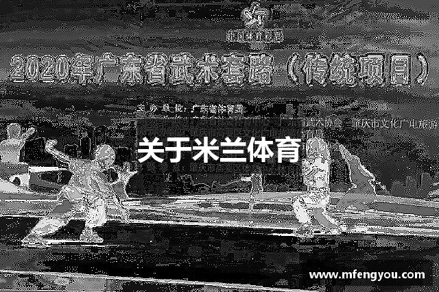 关于米兰体育